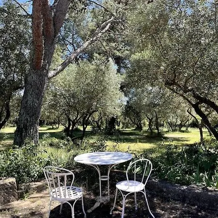 Villa Au Mas Hebrard - 8 Personnes Nimes