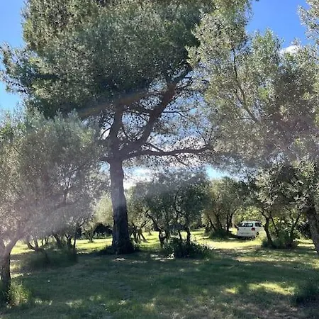 Au Mas Hebrard - 8 Personnes Nimes
